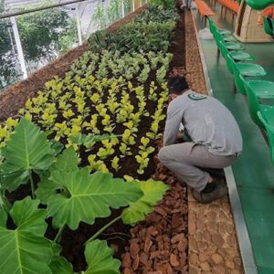 C&C empreendimentos3