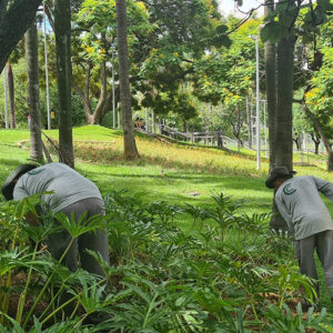 C&C empreendimentos7